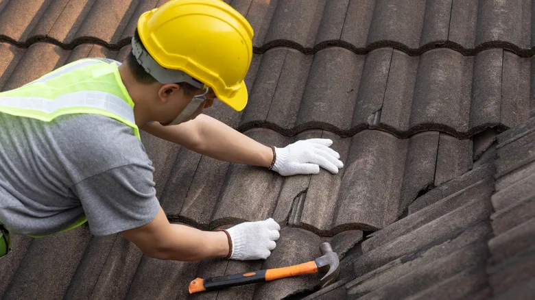 Roof Repair Contractor